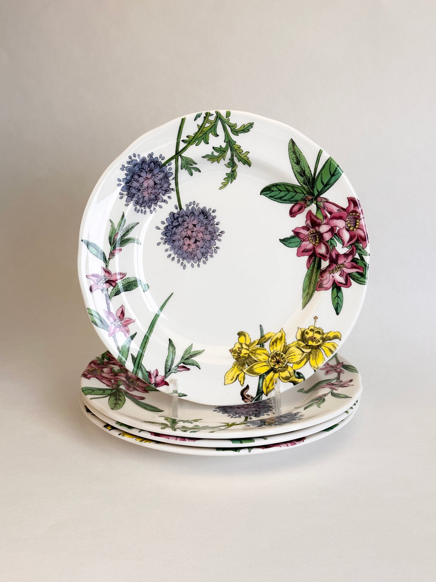 SPODE Stafford スポード スタッフォードフラワー ラムカン6個 SPODE Stafford スポード スタッフォードフラワー ラムカン6個