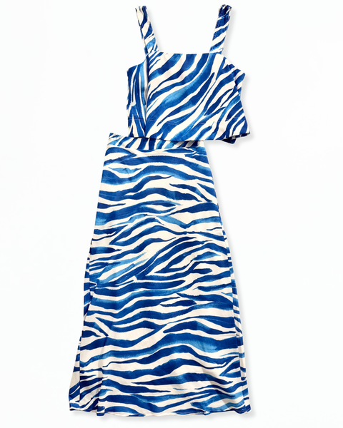 Blue Zebra Skirt and Tank Set