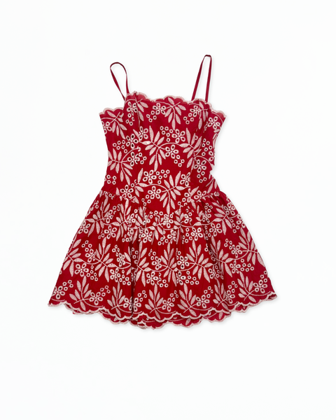 Red Embroidery Tube Mini Dress