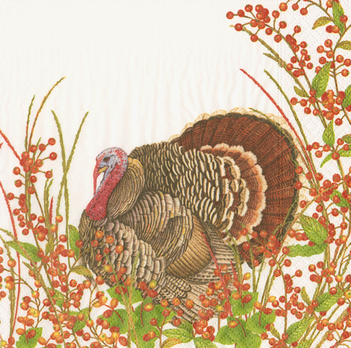 Caspari Turkey and Berries Luncheon Napkins
