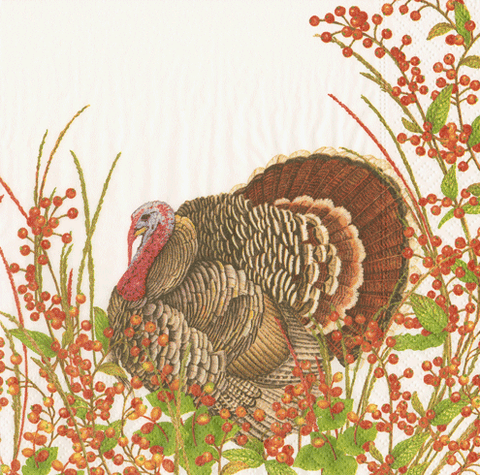 Caspari Turkey and Berries Luncheon Napkins