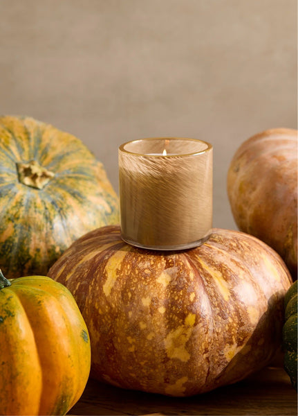Lafco 15.5 oz Pumpkin Seed and Sandalwood Signature Candle