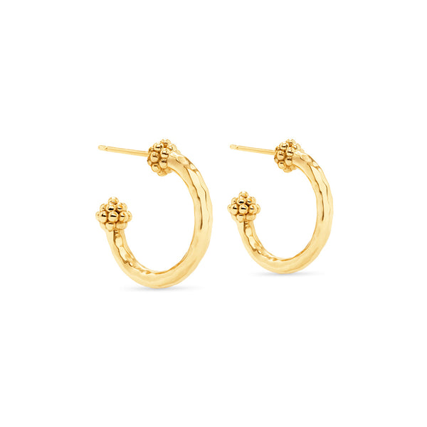 Berry Small Hoop Earrings in Hammered Gold