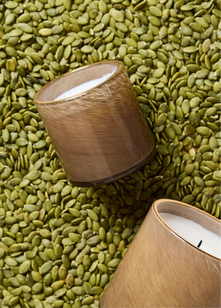 Lafco 15.5 oz Pumpkin Seed and Sandalwood Signature Candle
