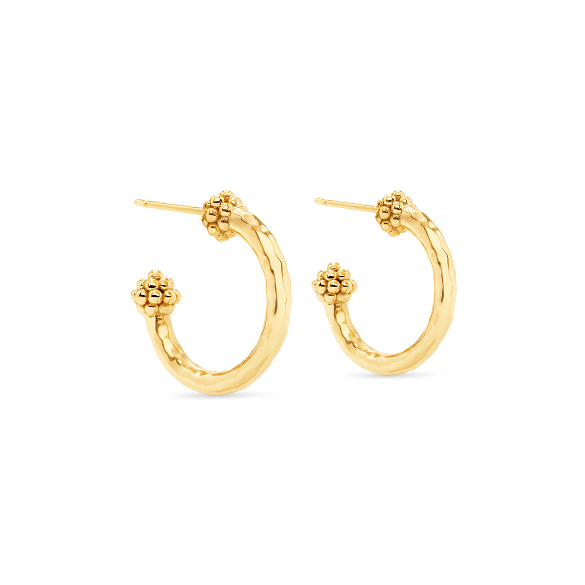 Berry Small Hoop Earrings in Hammered Gold