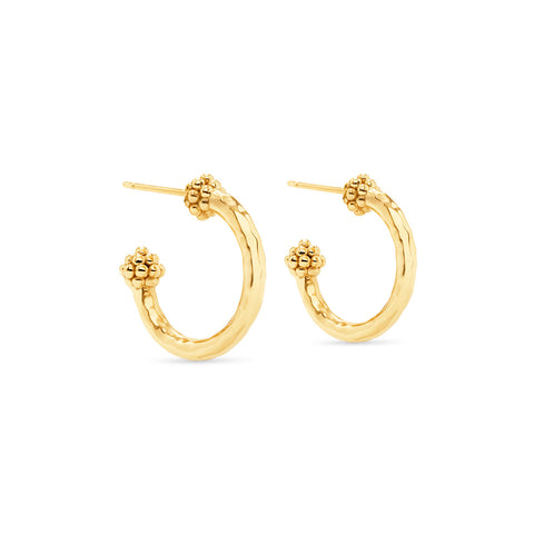 Berry Small Hoop Earrings in Hammered Gold